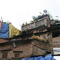 India & Nepal 2011 - 0317